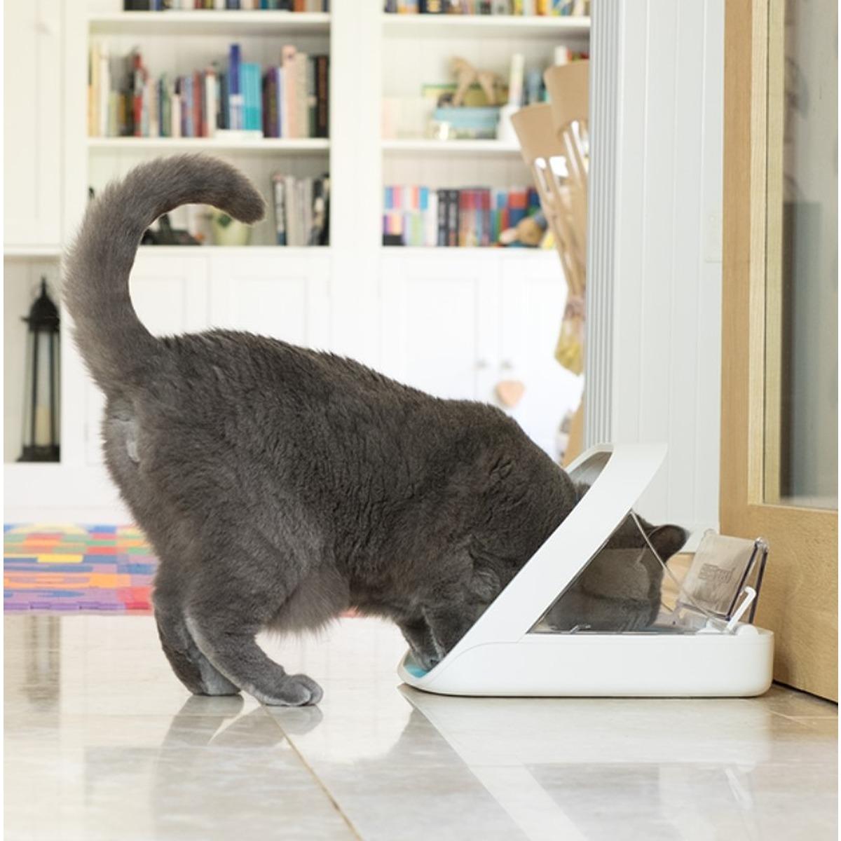 SureFeed Microchip Pet Feeder