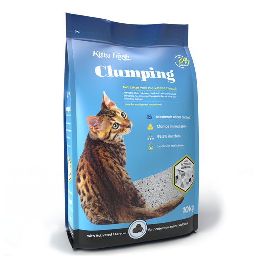 Kitty Fresh Activated Charcoal Clumping Cat Litter