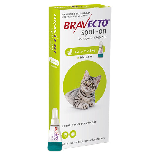 Bravecto Spot On Treatment for Small Cats 1.2-2.8kg