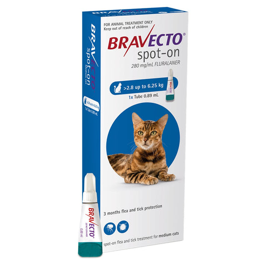 Bravecto Spot On Treatment for Medium Cats 2.8-6.25kg
