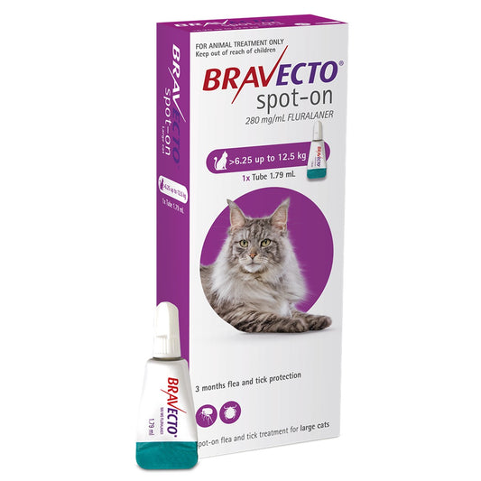 Bravecto Spot On Treatment for Large Cats 6.25-12.5kg