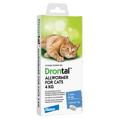 Drontal All Wormer For Cats