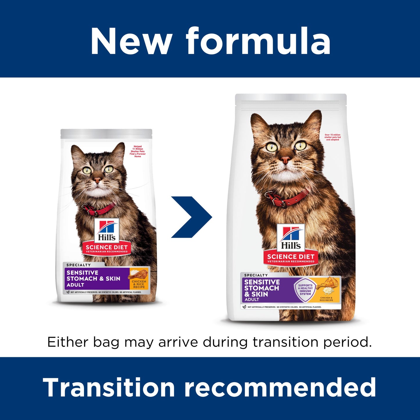 Hill's Science Diet Sensitive Stomach & Skin Adult Dry Cat Food