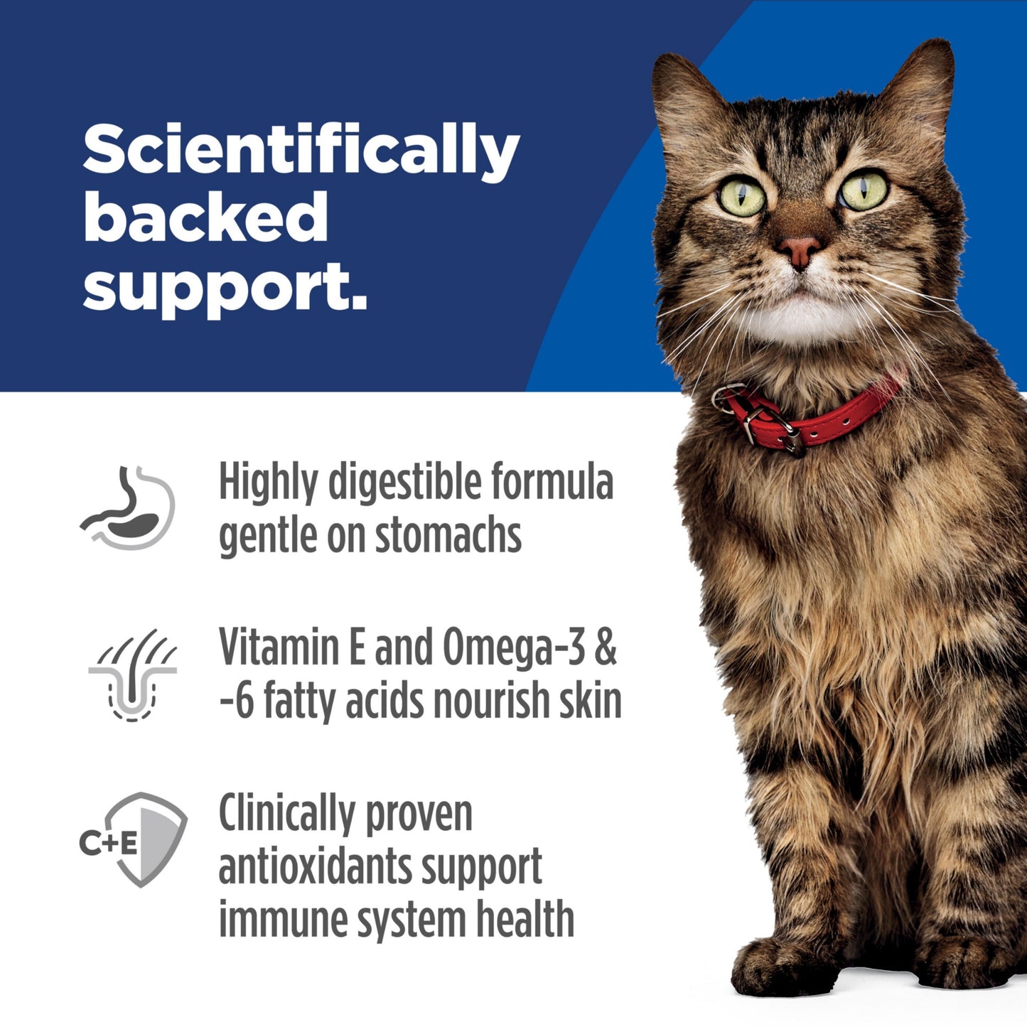 Hill's Science Diet Sensitive Stomach & Skin Adult Dry Cat Food