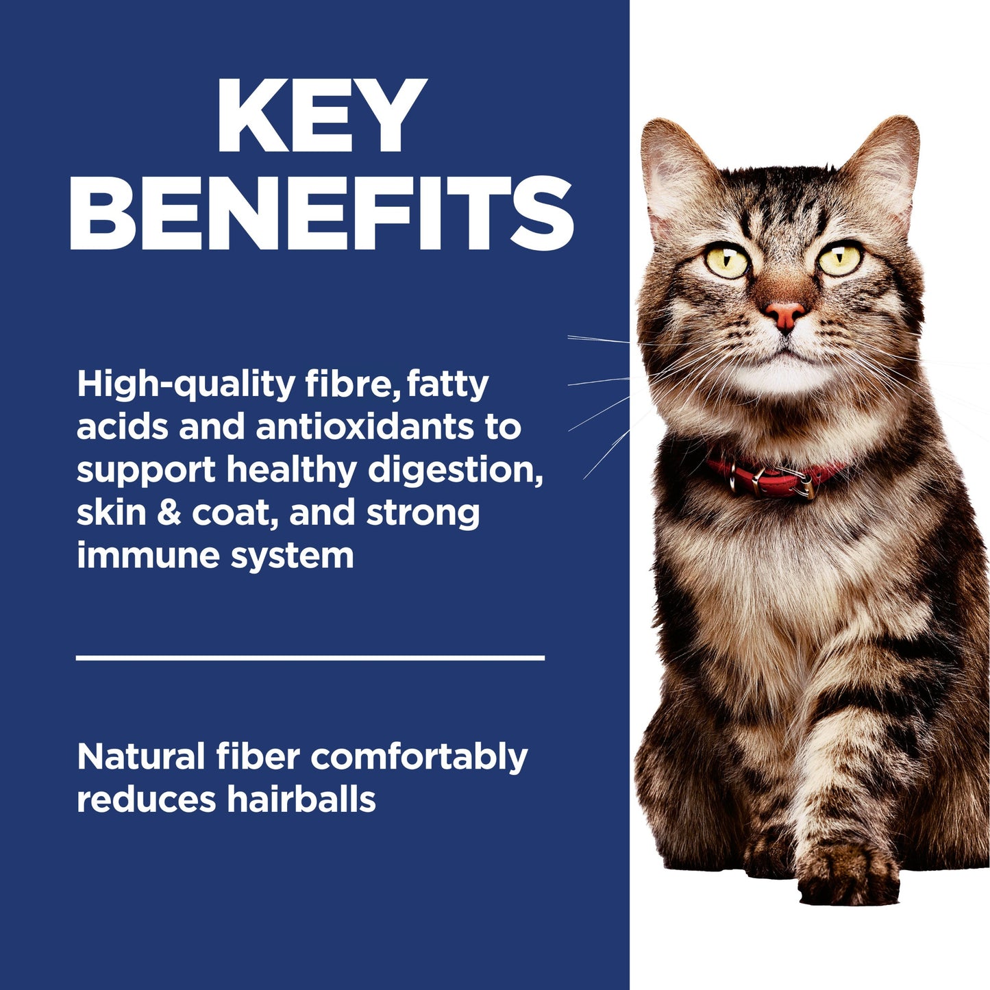 Hill's Science Diet Hairball Control Adult 7+ Dry Cat Food