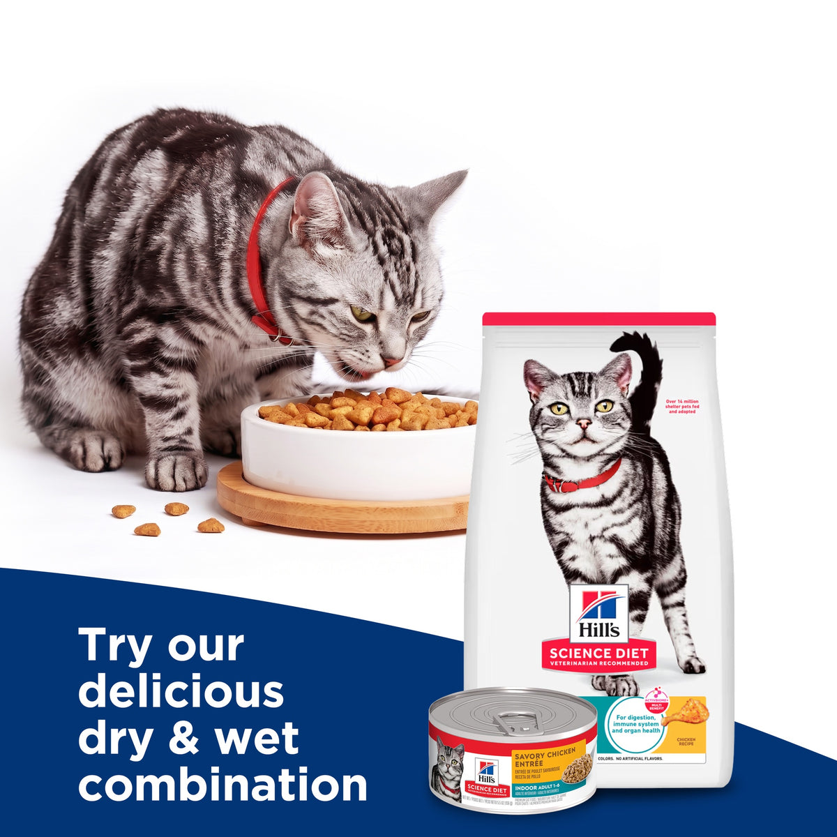 Hill's Science Diet Indoor Adult Dry Cat Food