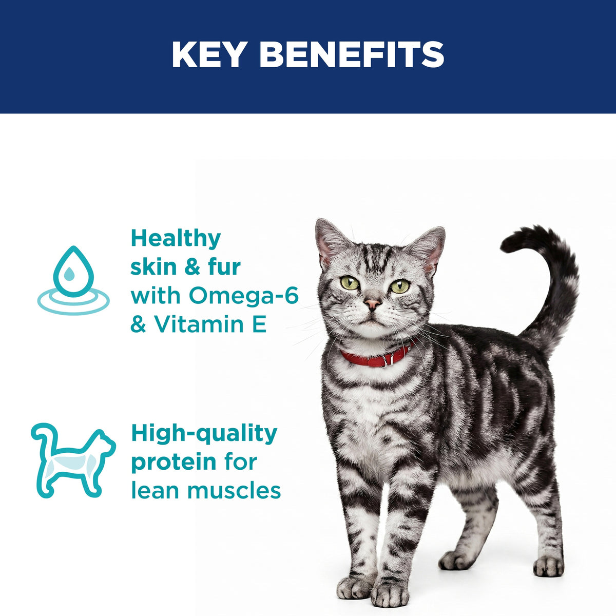 Hill's Science Diet Indoor Adult Dry Cat Food