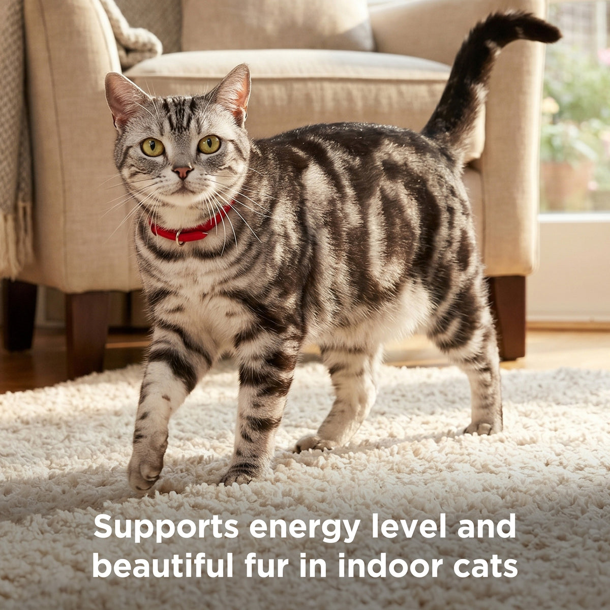 Hill's Science Diet Indoor Adult Dry Cat Food