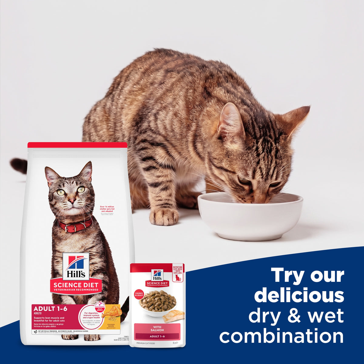 Hill's Science Diet Adult Chicken Dry Cat Food