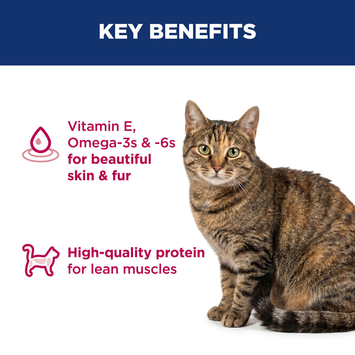 Hill's Science Diet Adult Chicken Dry Cat Food