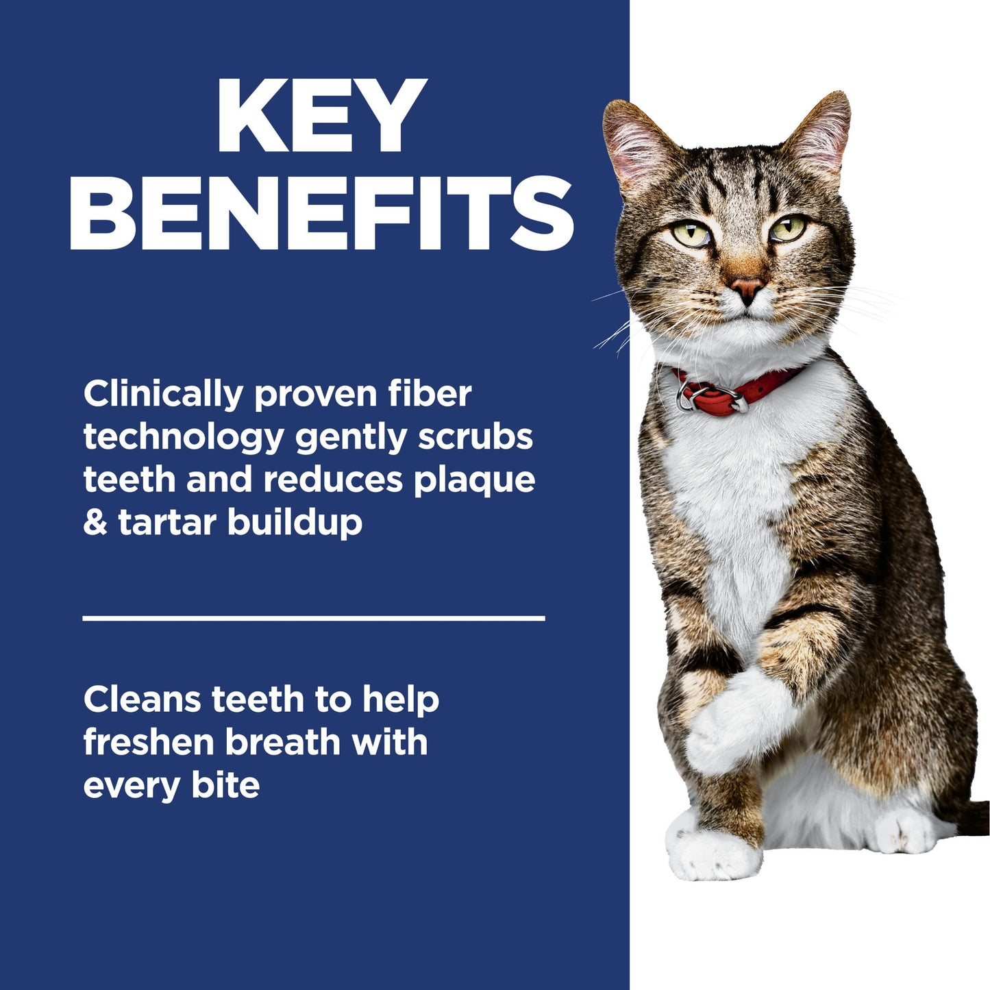Hill's Science Diet Oral Care Adult Dry Cat Food