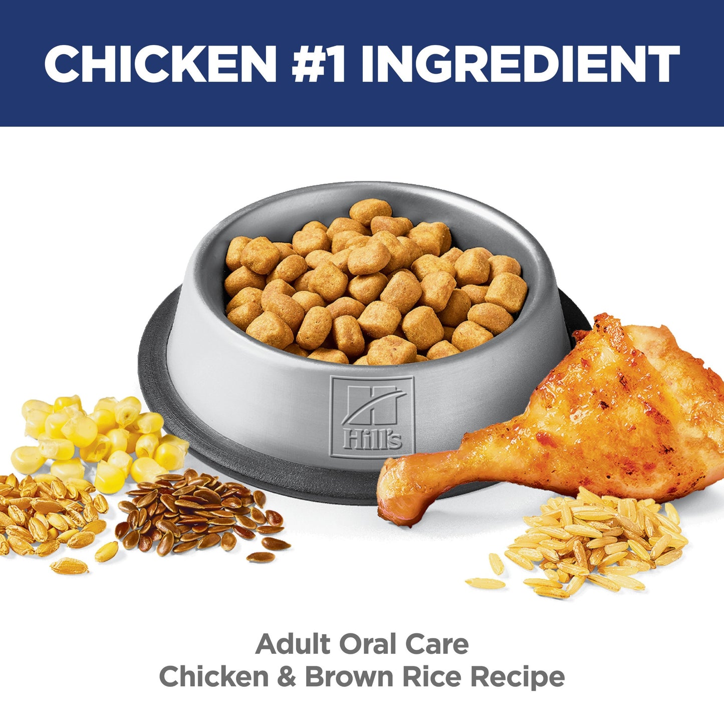 Hill's Science Diet Oral Care Adult Dry Cat Food