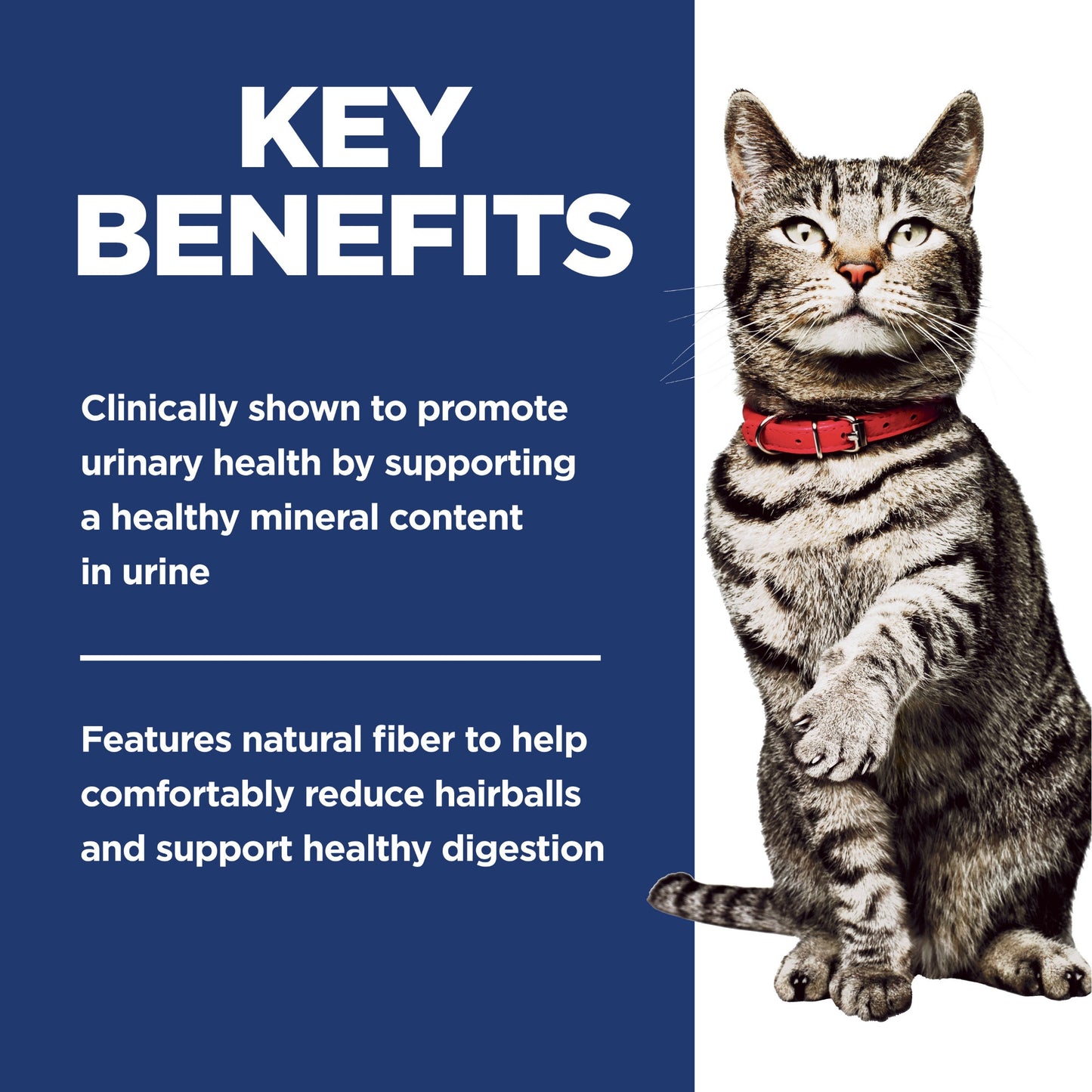 Hill's Science Diet Urinary Hairball Control Dry Cat Food