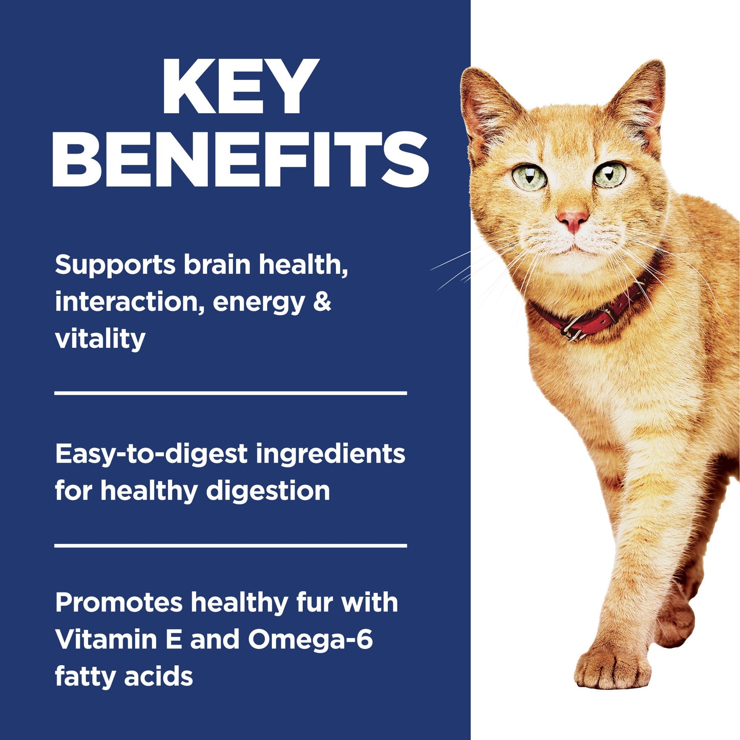 Hill's Science Diet Senior Vitality 7+ Dry Cat Food