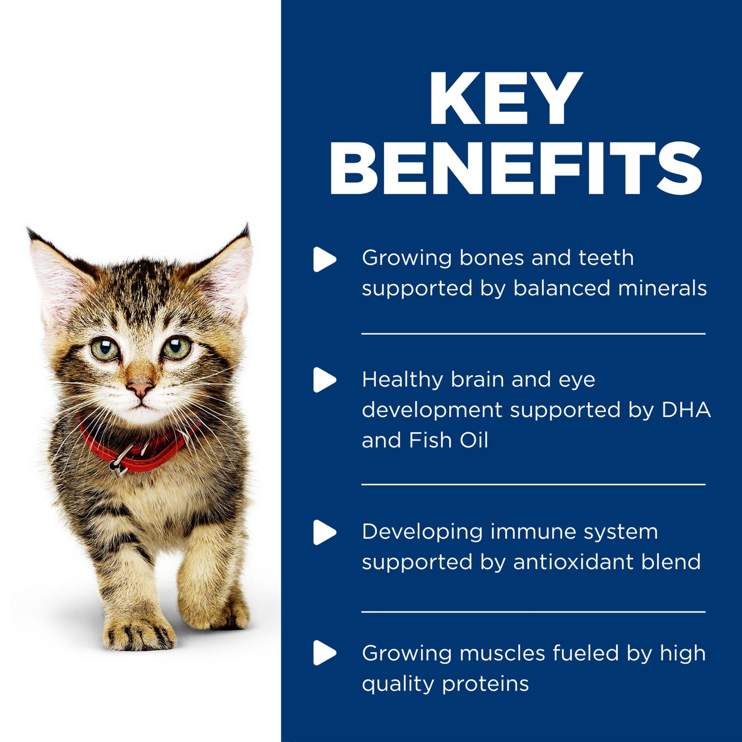 Hill's Science Diet Kitten Salmon Wet Cat Food