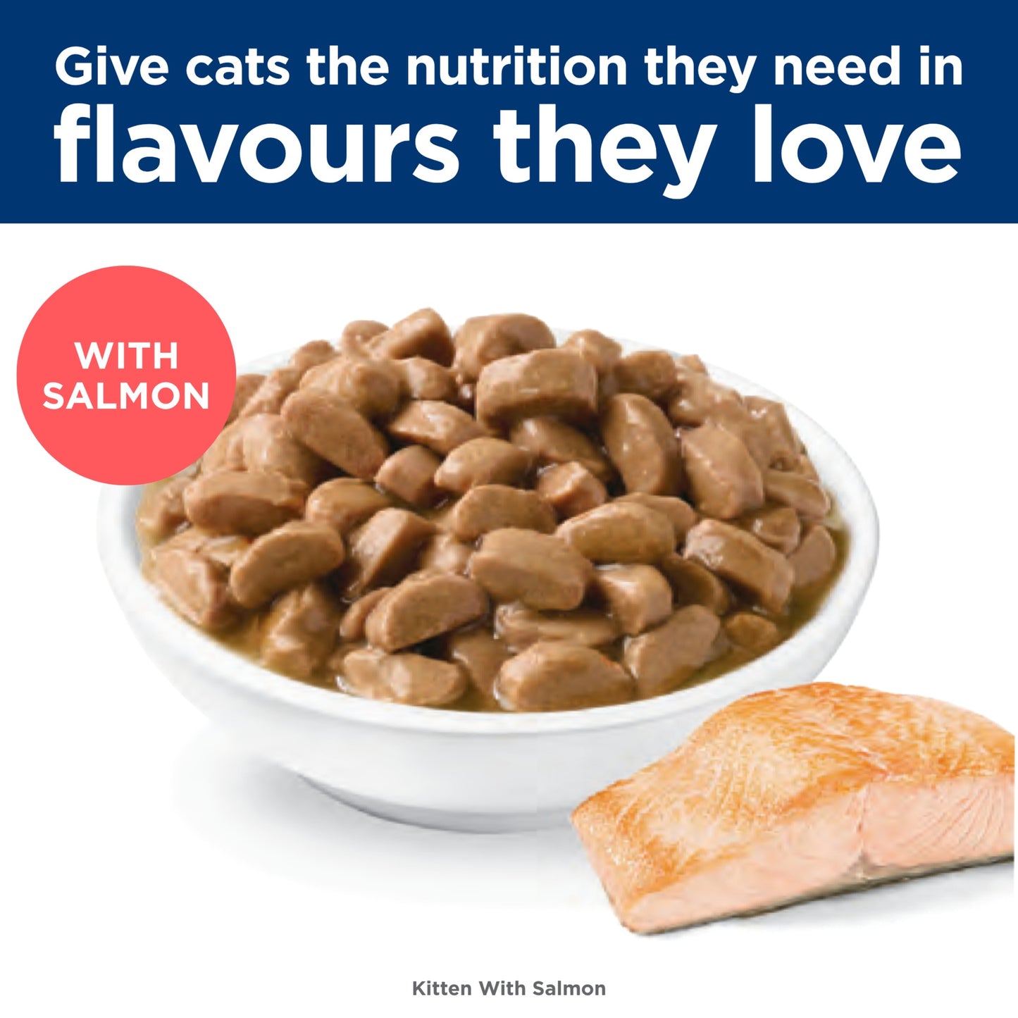 Hill's Science Diet Kitten Salmon Wet Cat Food