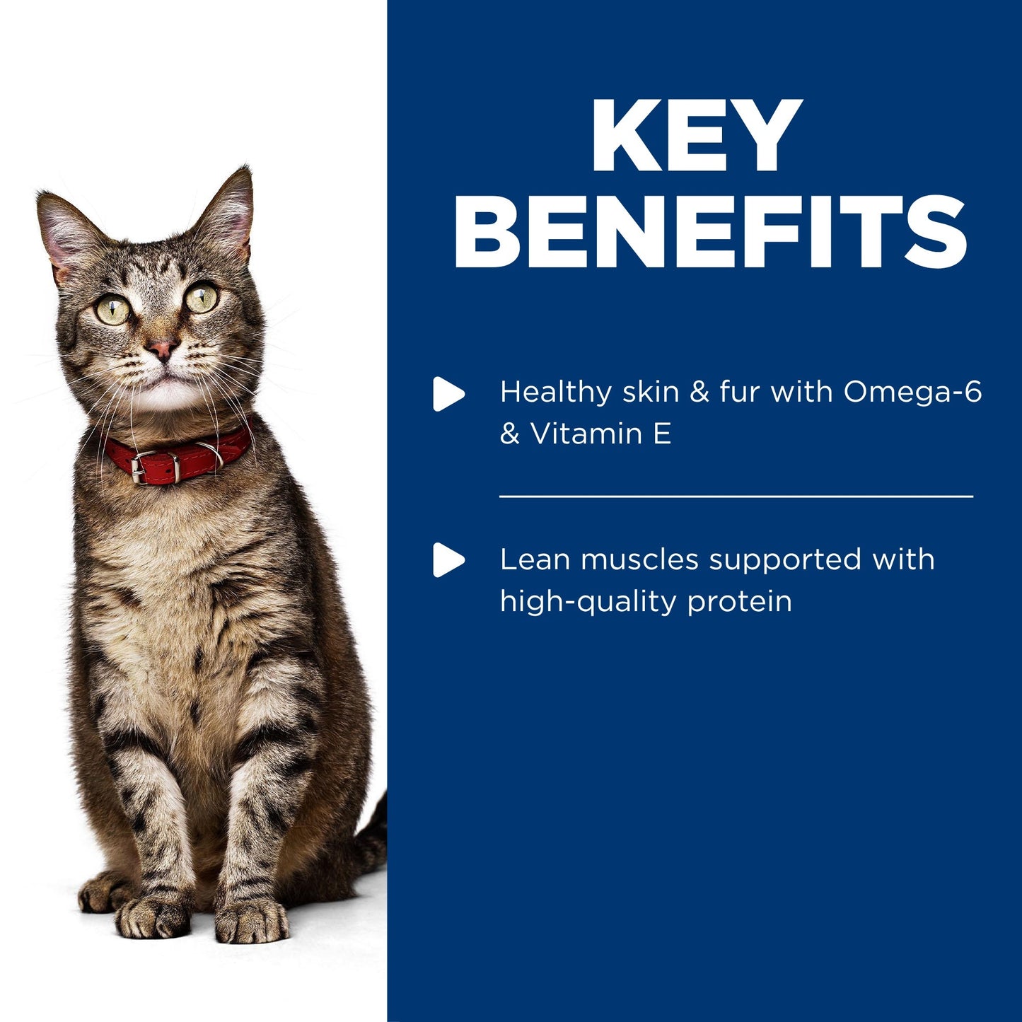 Hill's Science Diet Adult Chicken Wet Cat Food