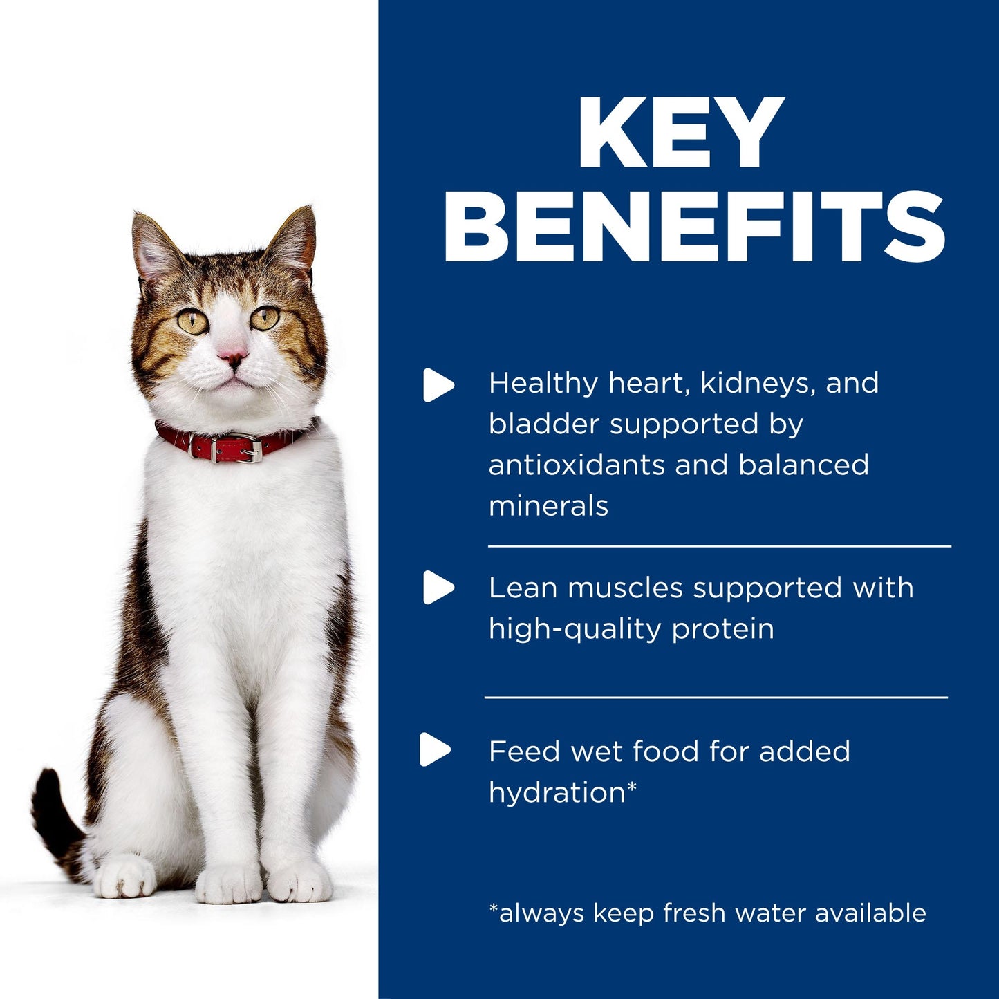 Hill's Science Diet Mature Adult 7+ Chicken Wet Cat Food