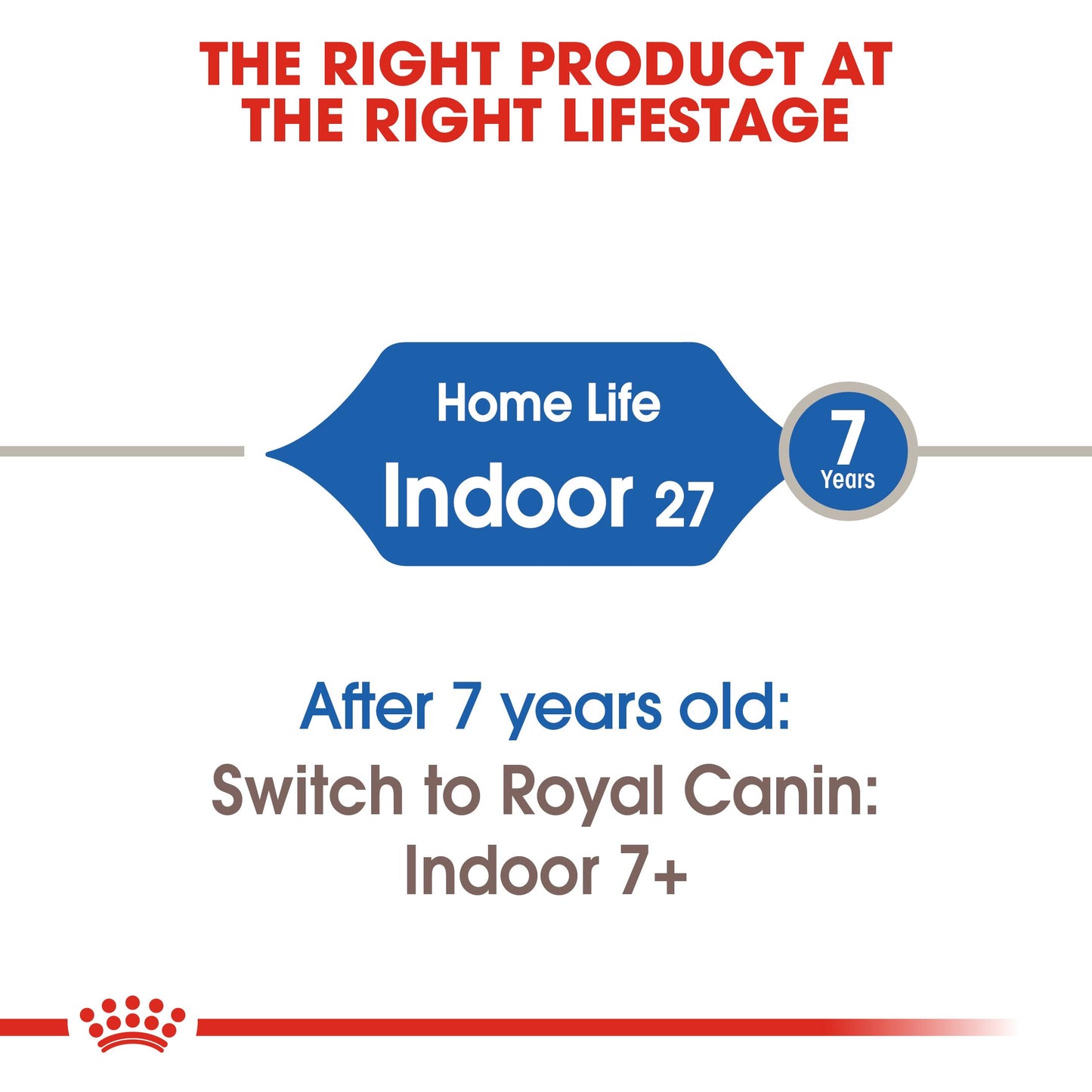Royal Canin Home Life Indoor Dry Cat Food