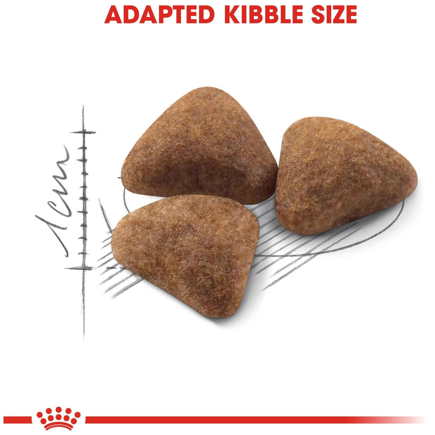 Royal Canin Home Life Indoor Dry Cat Food