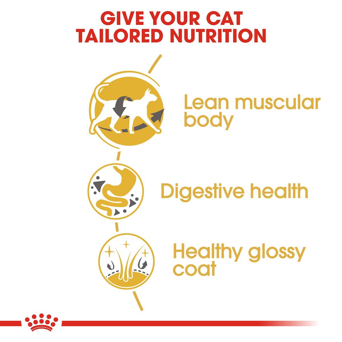 Royal Canin Siamese Dry Cat Food
