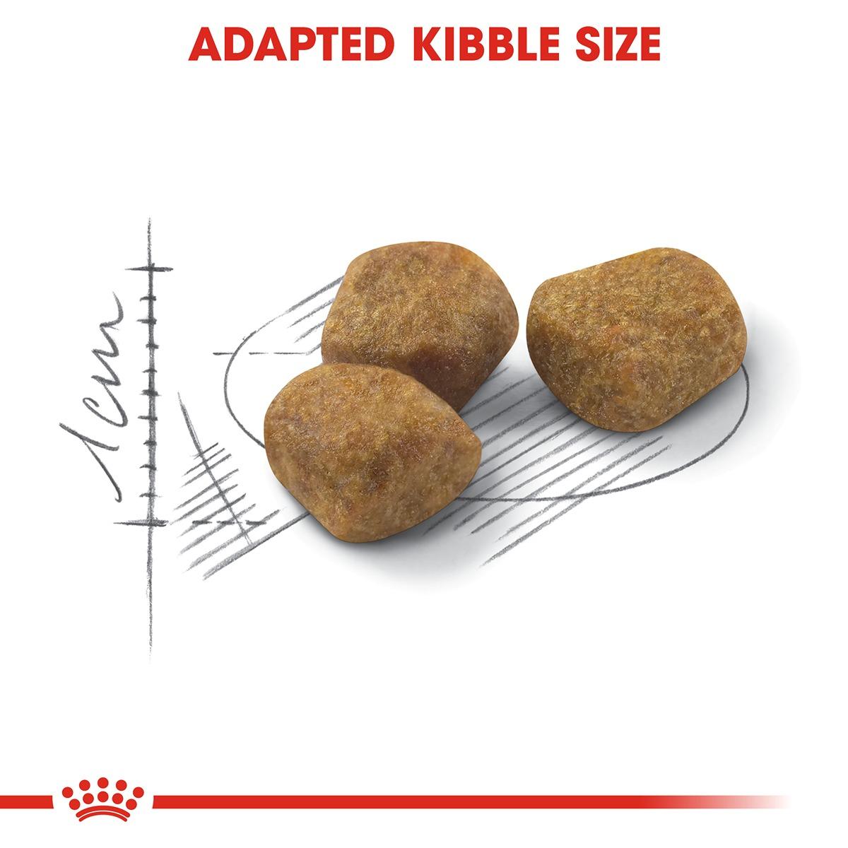 Royal Canin Fit Dry Cat Food