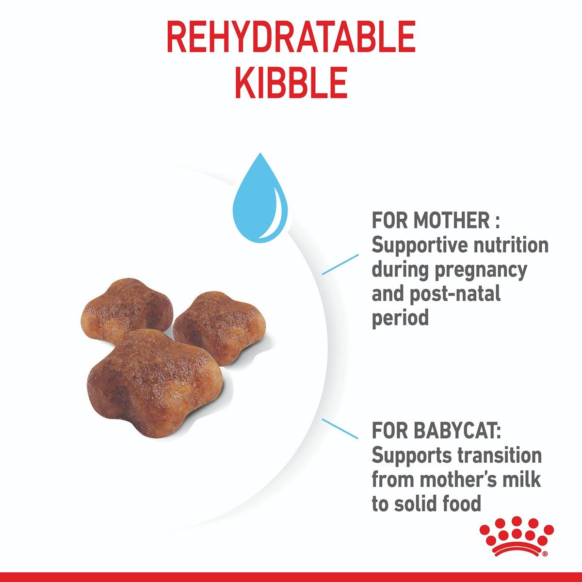 Royal Canin Mother & Baby Cat Dry Cat Food