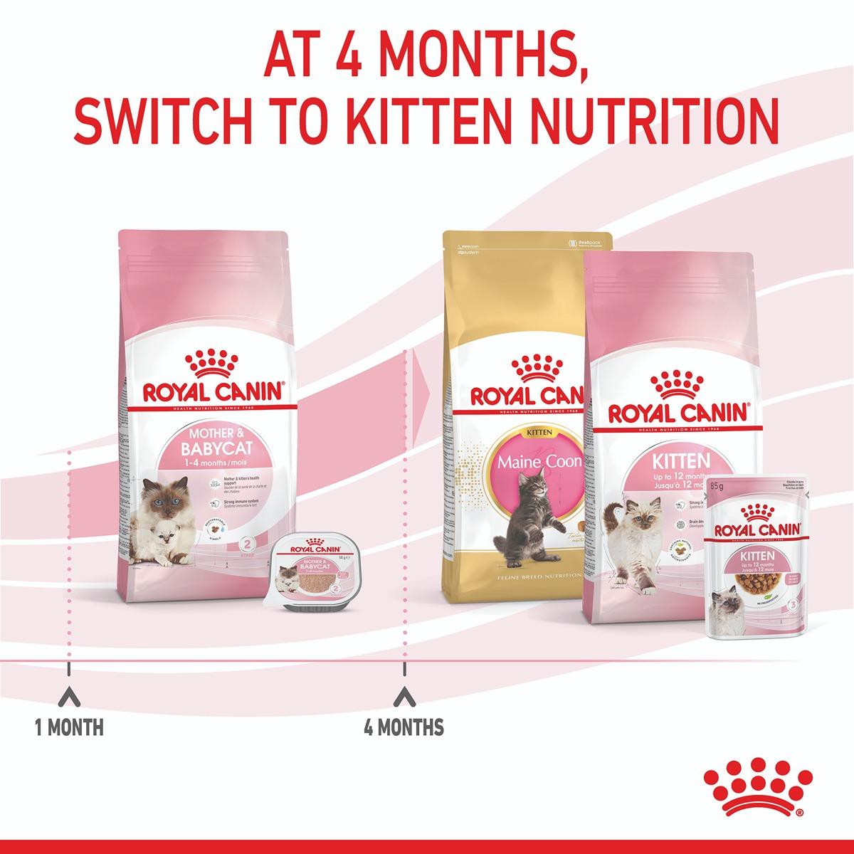 Royal Canin Mother & Baby Cat Dry Cat Food