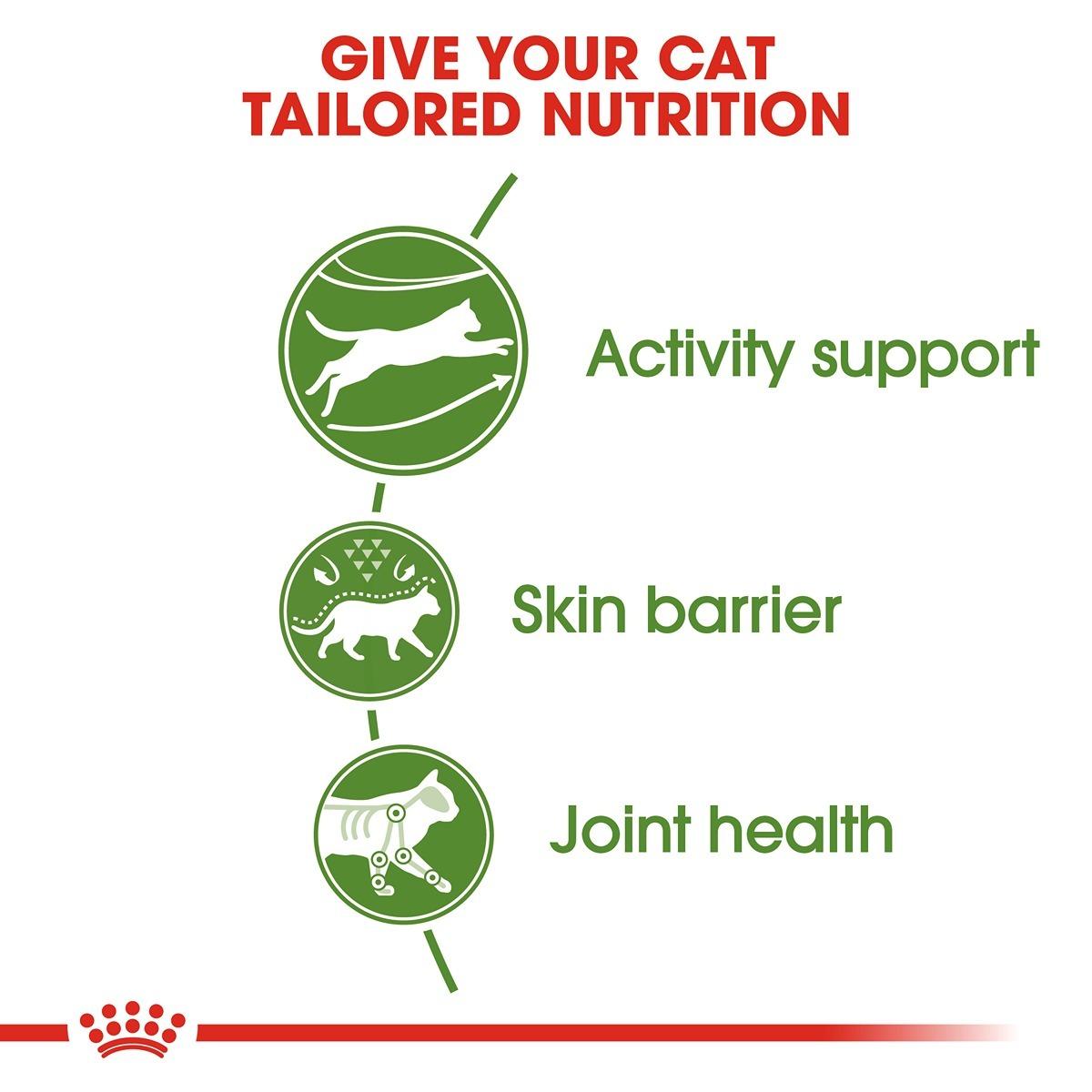 Royal Canin Cat Outdoor Dry Cat Food