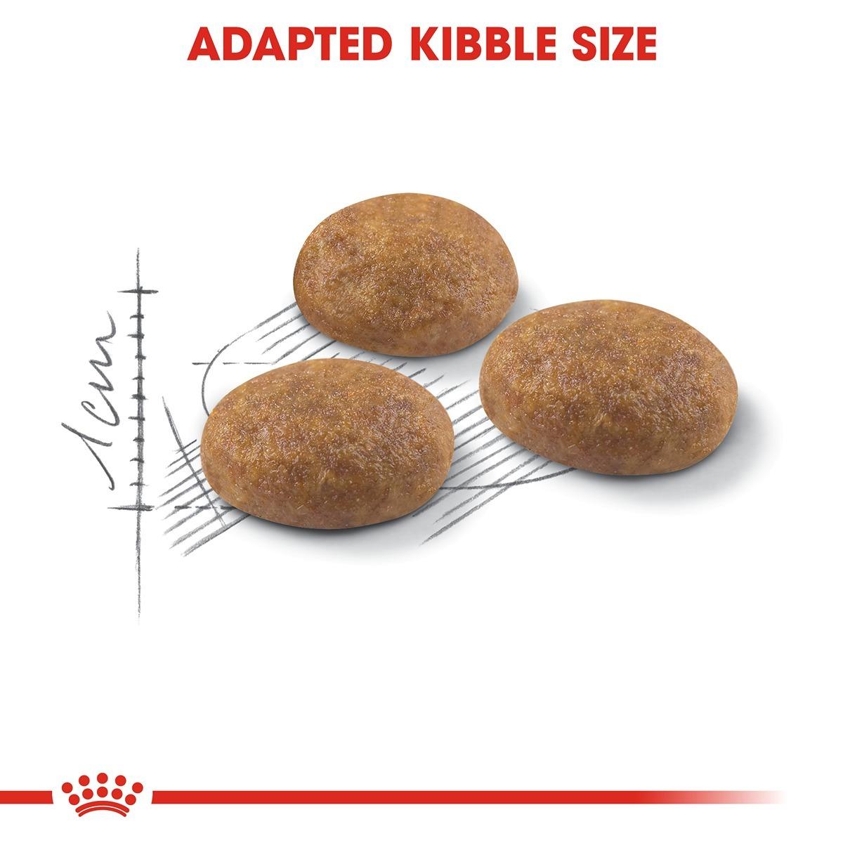 Royal Canin Cat Outdoor Dry Cat Food