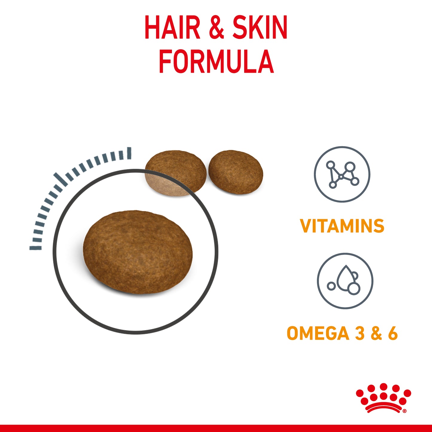 Royal Canin Hair & Skin Care Dry Cat Food
