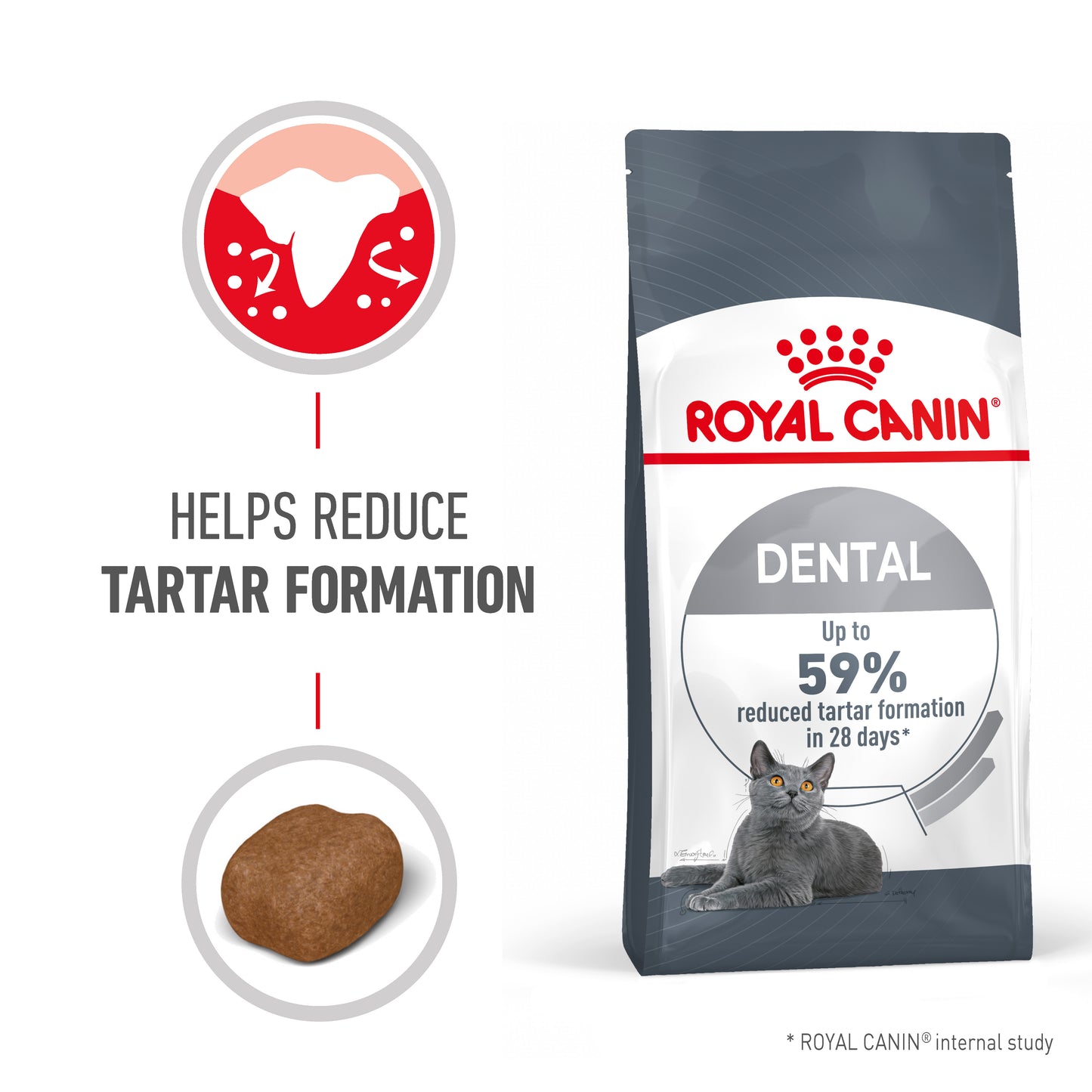 Royal Canin Dental Care Dry Cat Food