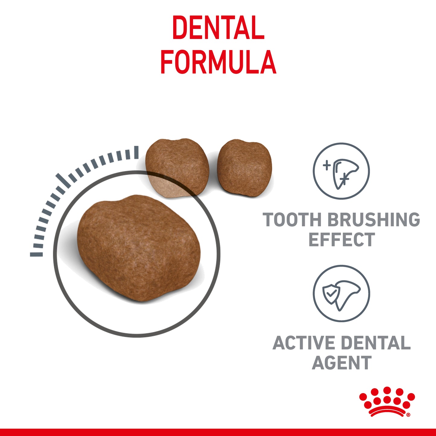 Royal Canin Dental Care Dry Cat Food