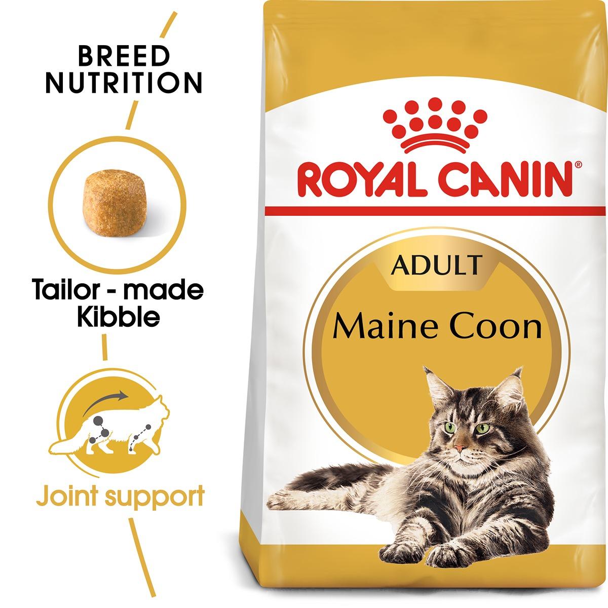 Royal Canin Breed Health Nutrition Maine Coon Dry Cat Food