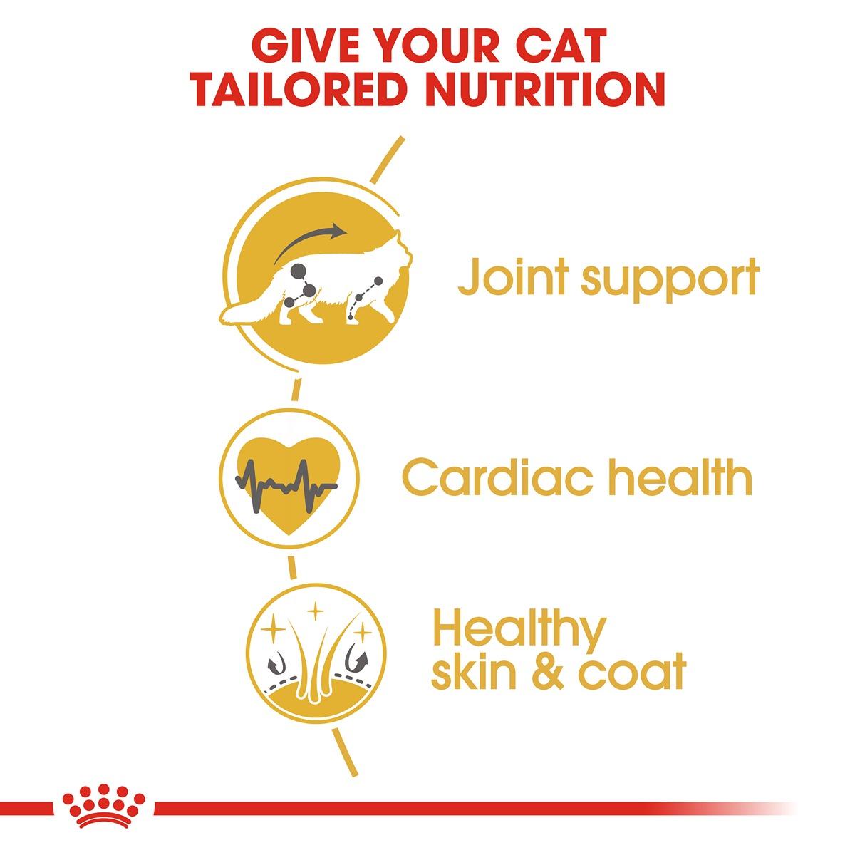 Royal Canin Breed Health Nutrition Maine Coon Dry Cat Food
