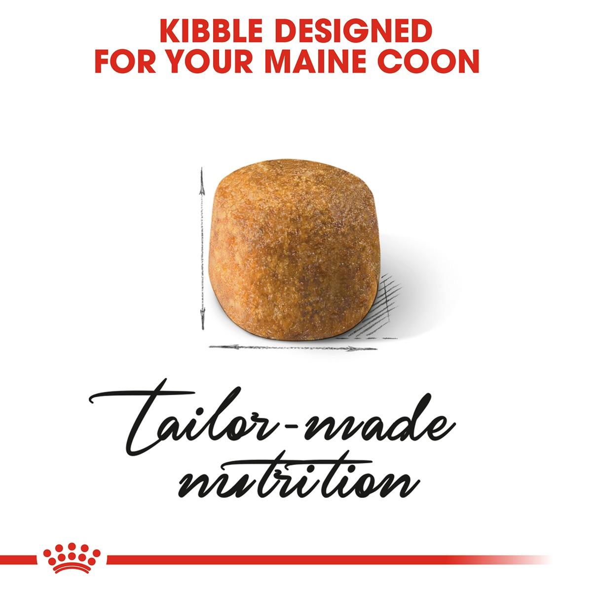 Royal Canin Breed Health Nutrition Maine Coon Dry Cat Food