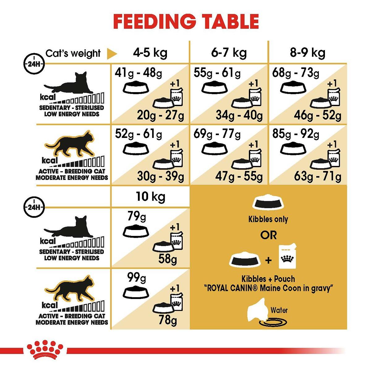 Royal Canin Breed Health Nutrition Maine Coon Dry Cat Food