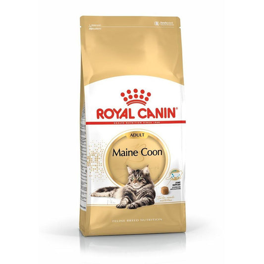 Royal Canin Breed Health Nutrition Maine Coon Dry Cat Food
