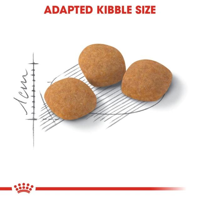 Royal Canin Exigent Protein Preference Dry Cat Food