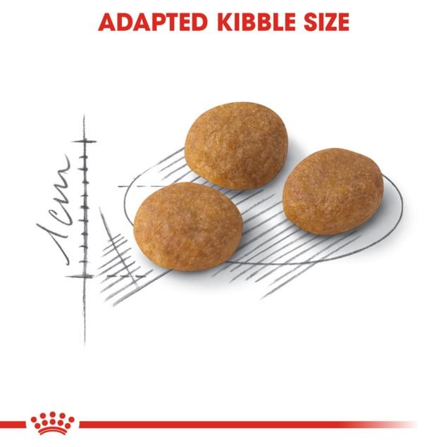 Royal Canin Exigent Aromatic Dry Cat Food