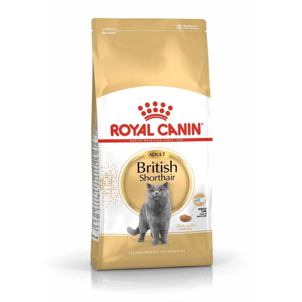 Royal Canin British Shorthair Dry Cat Food
