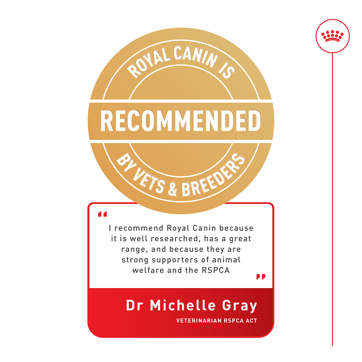 Royal Canin British Shorthair Dry Cat Food