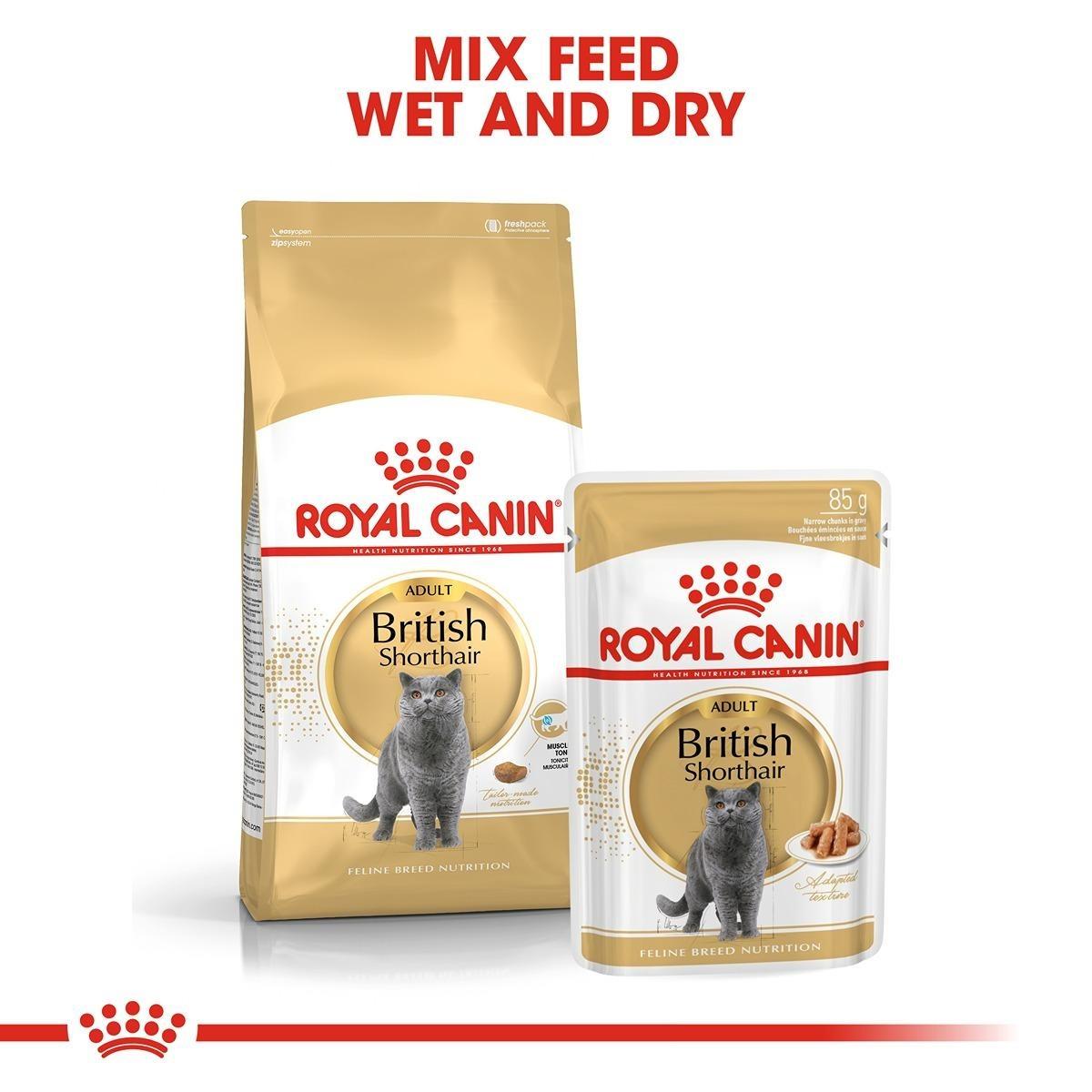 Royal Canin British Shorthair Dry Cat Food