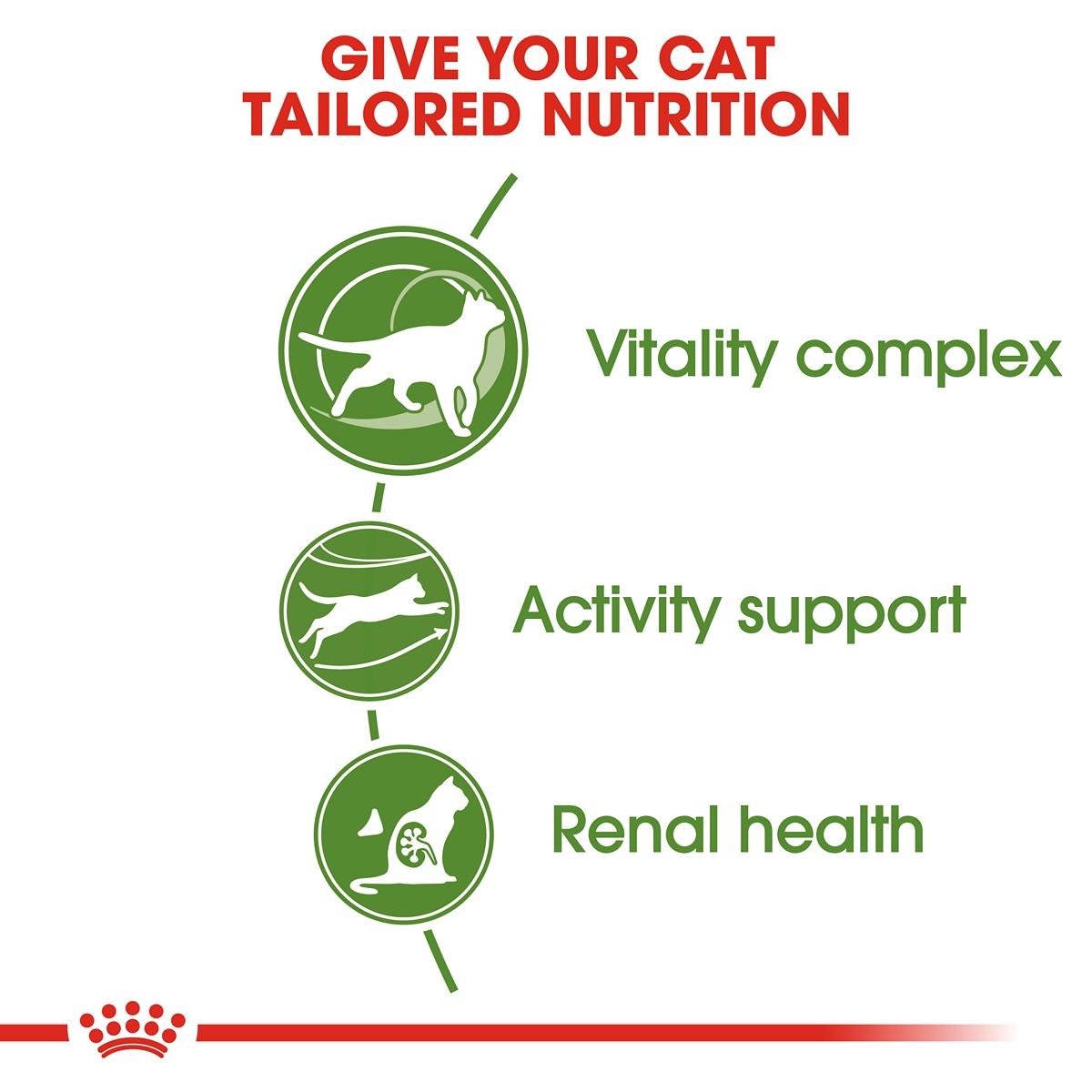 Royal Canin Outdoor 7+ Dry Cat Food