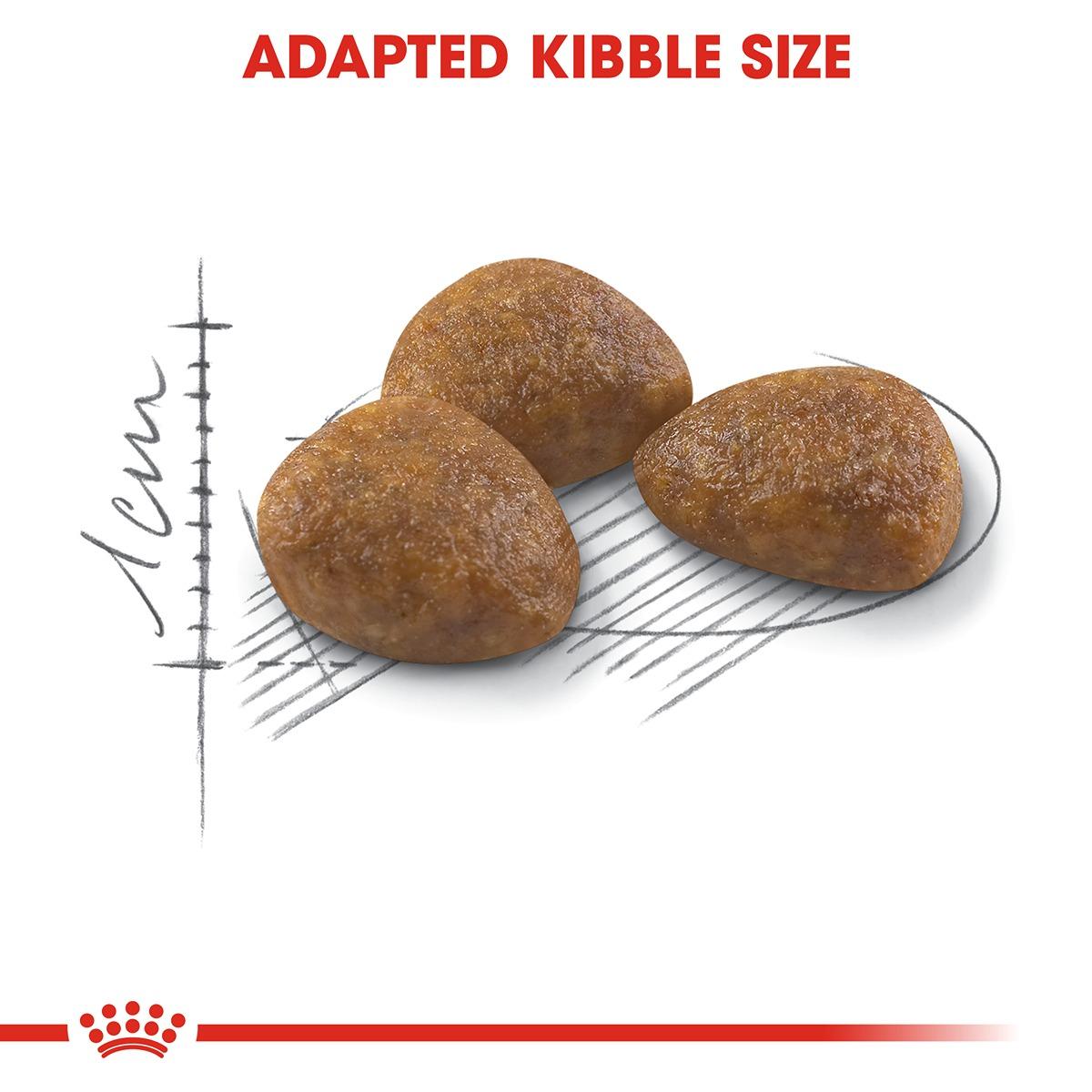 Royal Canin Outdoor 7+ Dry Cat Food