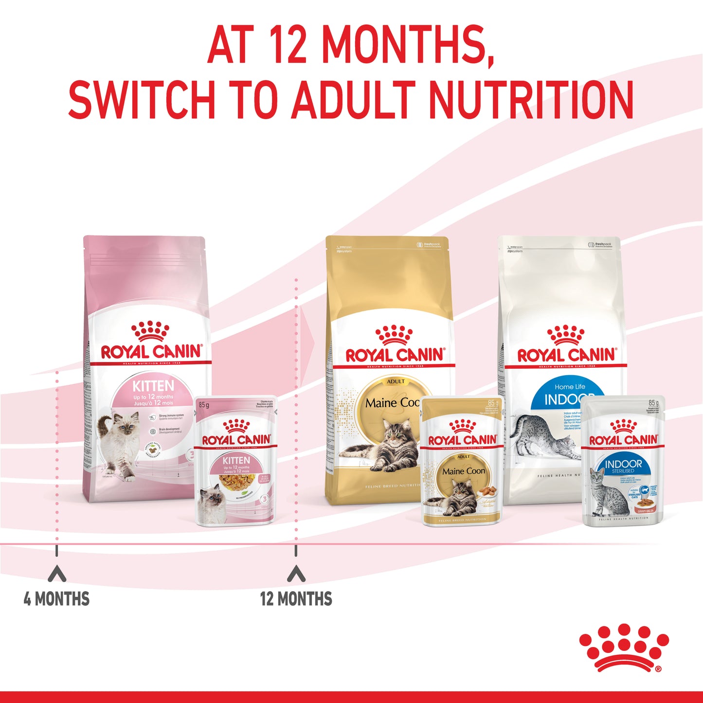 Royal Canin Kitten Instinctive Jelly Wet Food