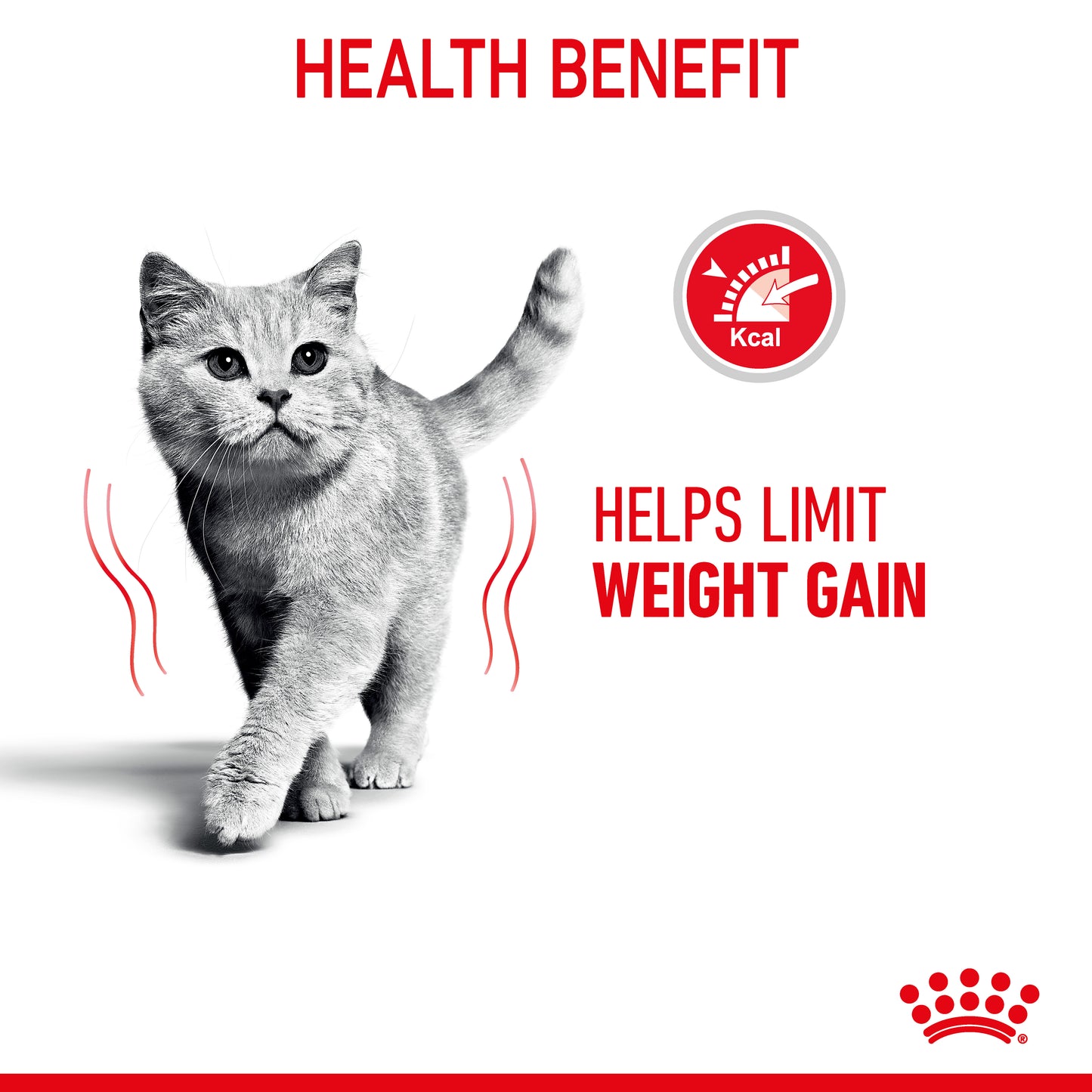 Royal Canin Light Weight Care in Jelly Wet Cat Food