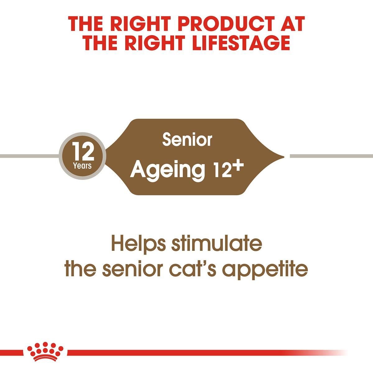 Royal Canin Ageing 12+ Dry Cat Food