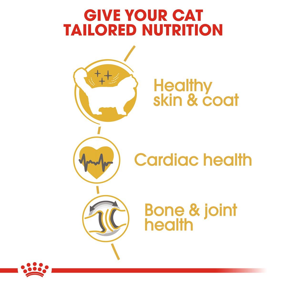 Royal Canin Ragdoll Dry Cat Food