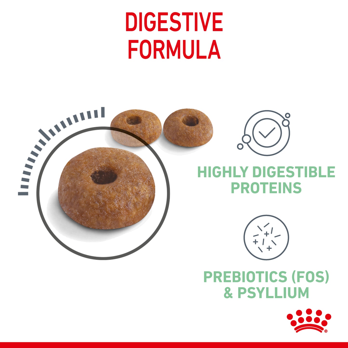 Royal Canin Digestive Care Dry Cat Food